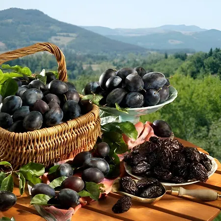 Appartement L’élégant, Hyper Centre Gare 800m Agen